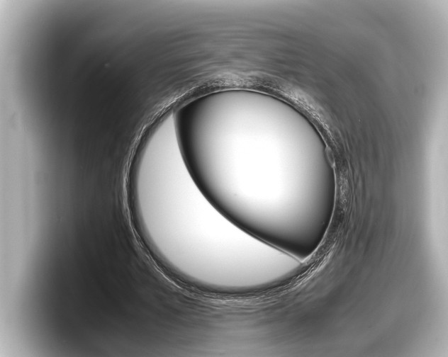 X0000098220581200804241135