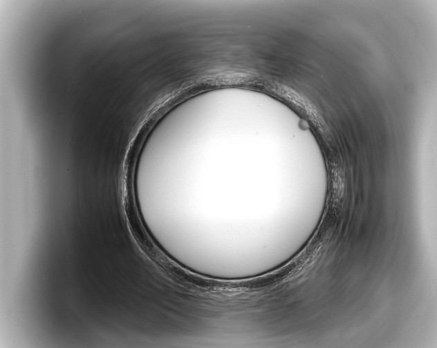 X0000098220582200804241135