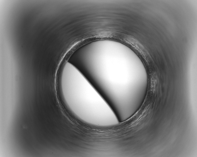 X0000098220584200804241135
