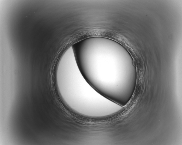 X0000098220585200804241135