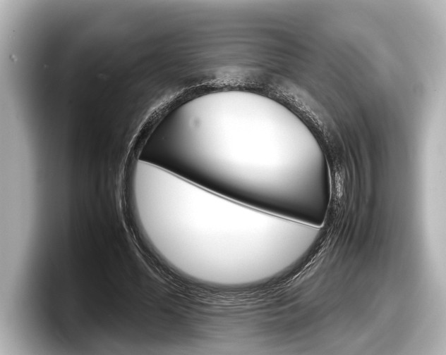 X0000098220588200804241135