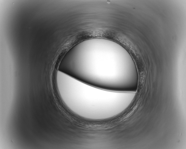 X0000098220589200804241135