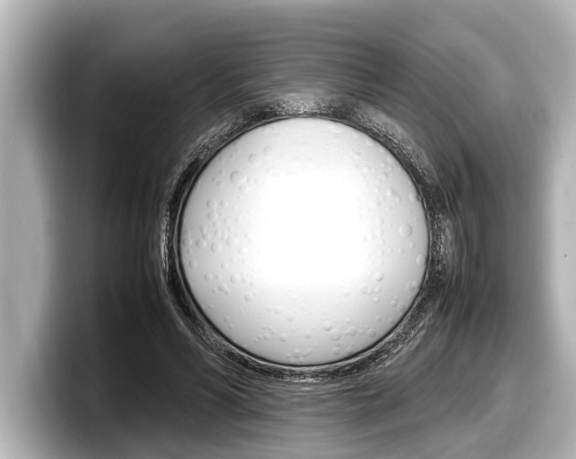 X0000098220590200804241135