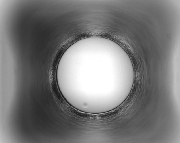 X0000098220591200804241135
