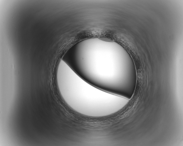 X0000098220593200804241135