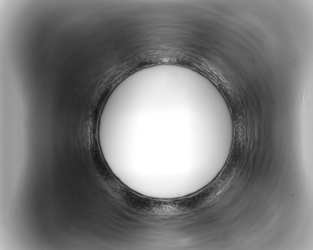 X0000098220594200804241135