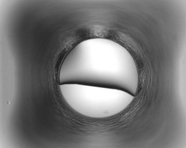 X0000098220595200804241135