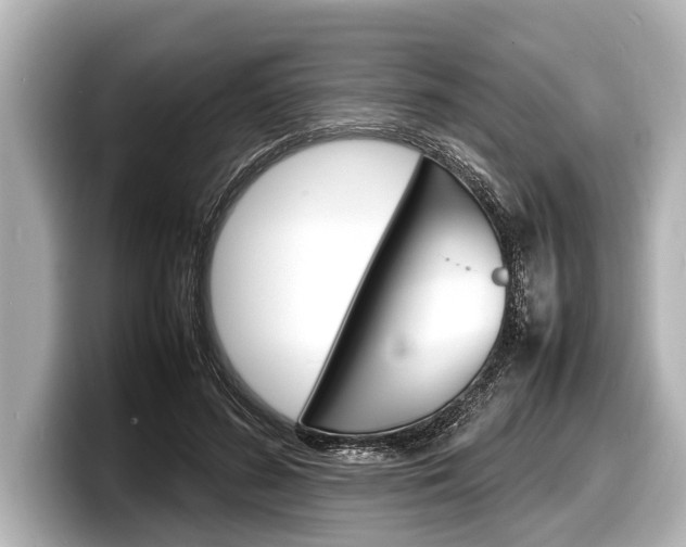 X0000098220596200804241135