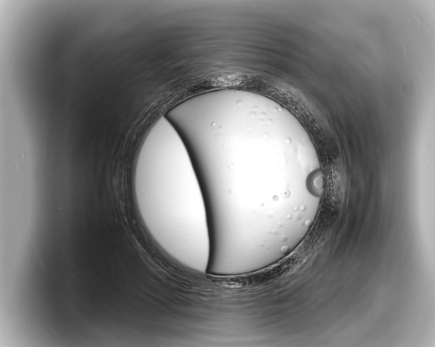 X0000098220598200804241135