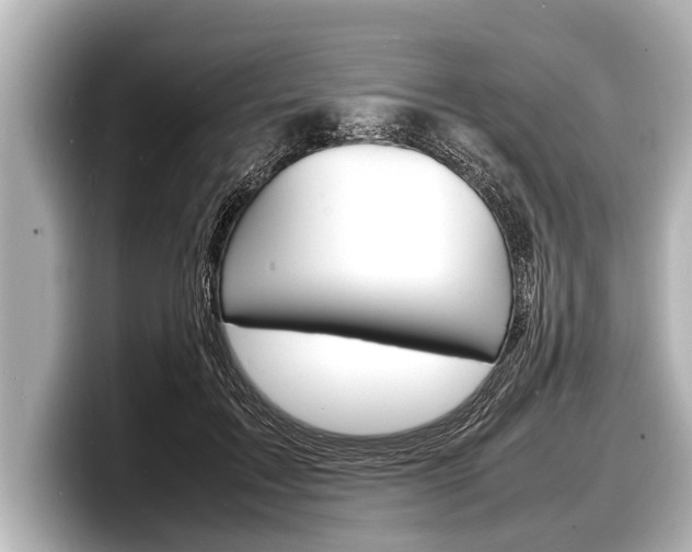 X0000098220603200804241135