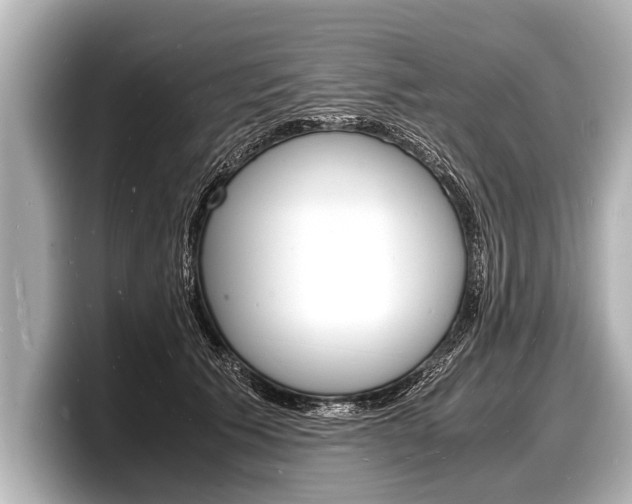 X0000098220609200804241134