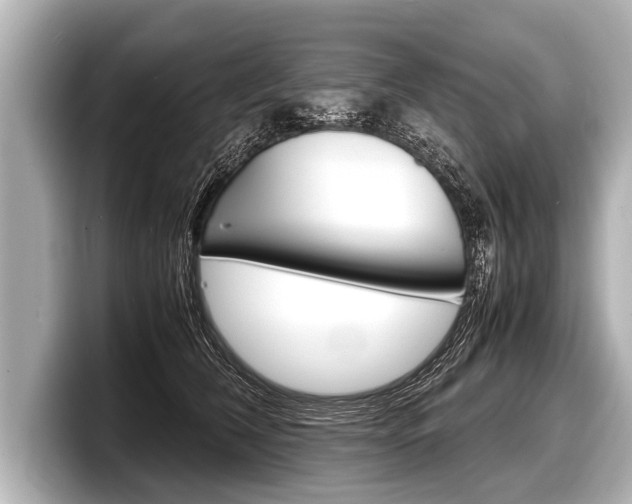 X0000098220612200804241134