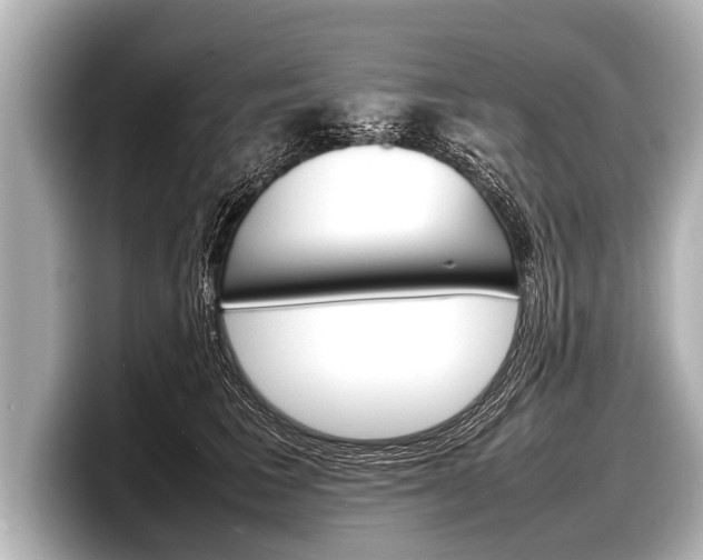 X0000098220613200804241134