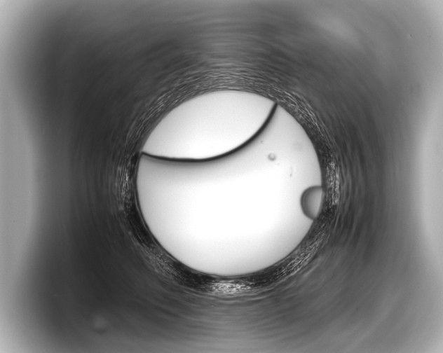 X0000098220614200804241134