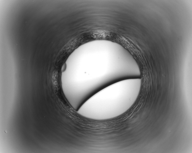 X0000098220616200804241134