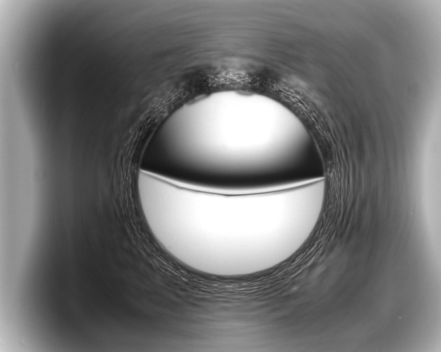 X0000098220617200804241134