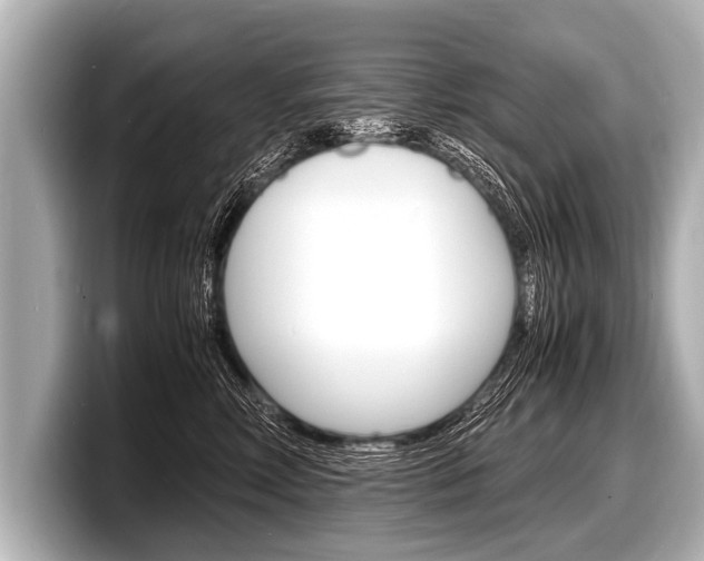 X0000098220618200804241134