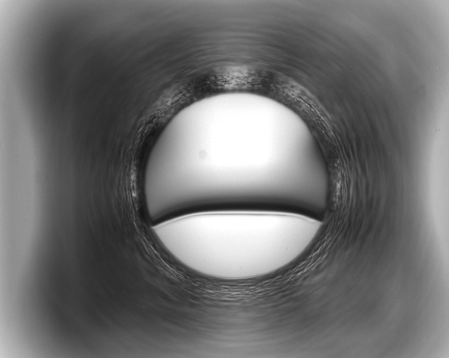 X0000098220620200804241134