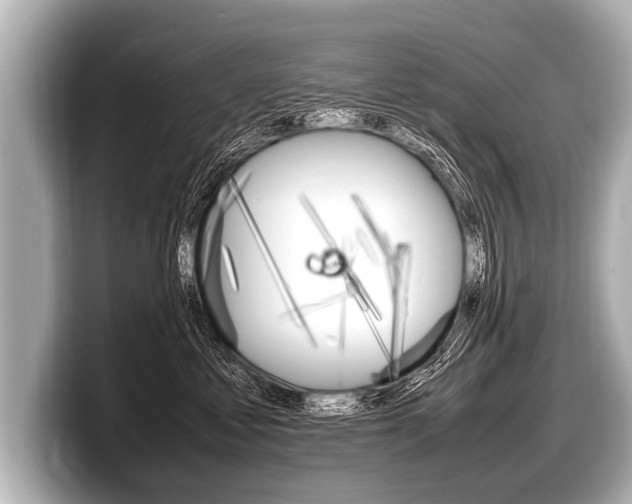 X0000098220621200804241134