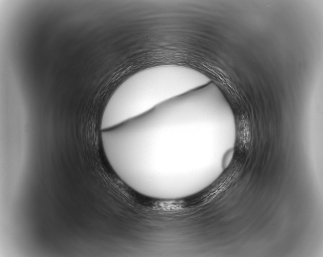 X0000098220622200804241134