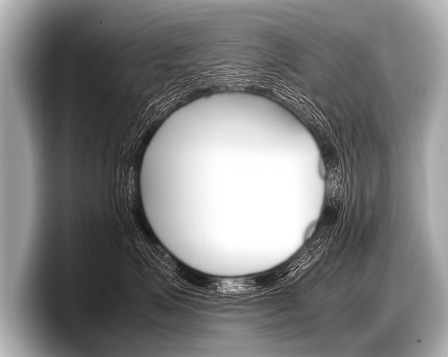 X0000098220623200804241134