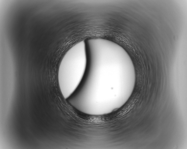 X0000098220624200804241134