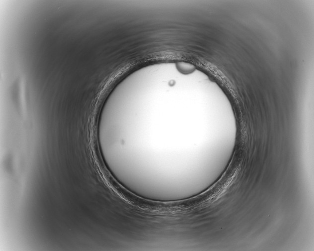 X0000098220625200804241134