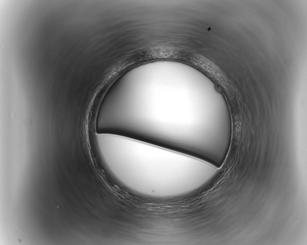 X0000098220626200804241134
