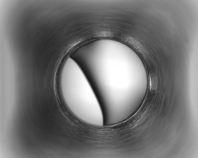 X0000098220627200804241134