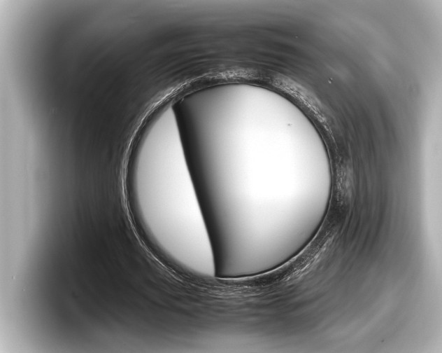 X0000098220629200804241134