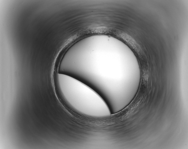 X0000098220630200804241134