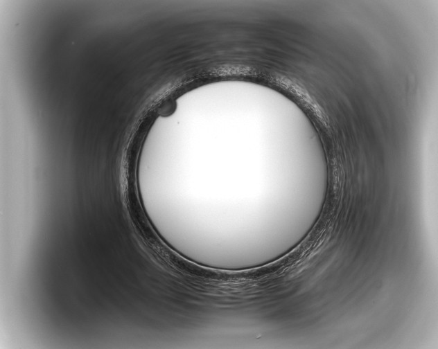 X0000098220631200804241134