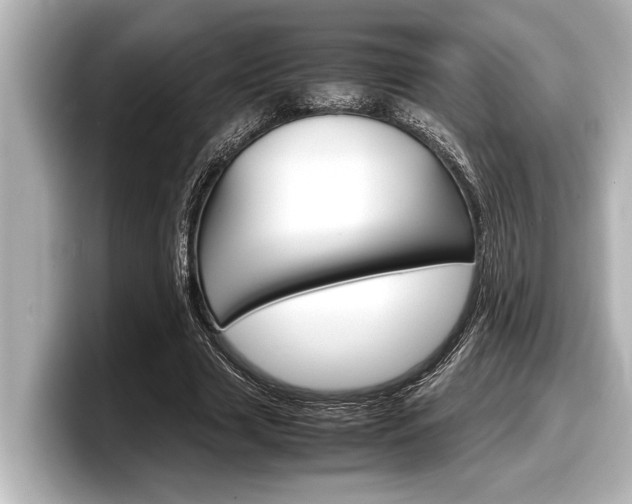 X0000098220633200804241134