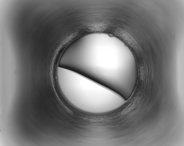 X0000098220634200804241134