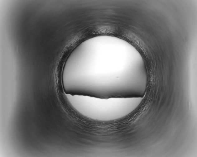X0000098220635200804241134
