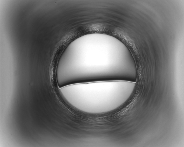 X0000098220637200804241134