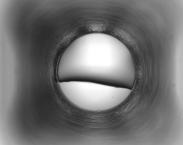 X0000098220639200804241134