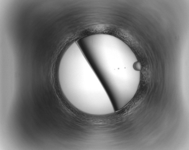 X0000098220642200804241134
