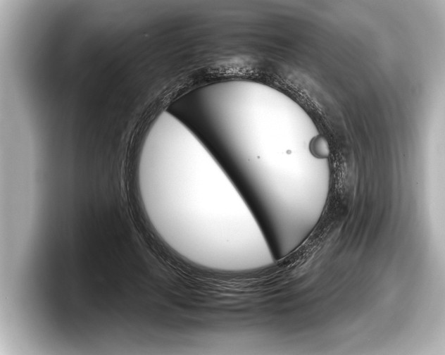 X0000098220643200804241134