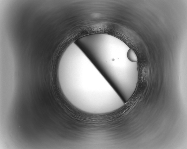 X0000098220644200804241134