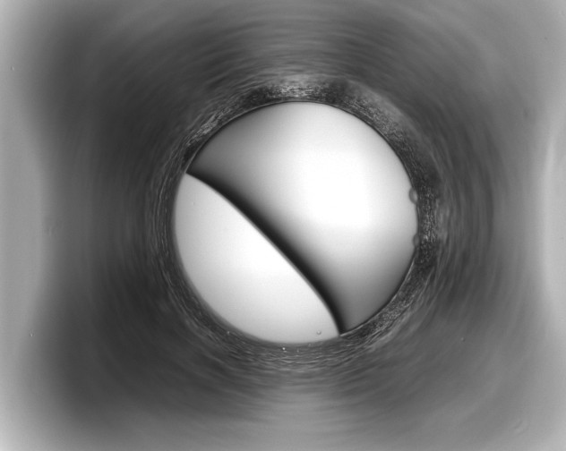 X0000098220646200804241134