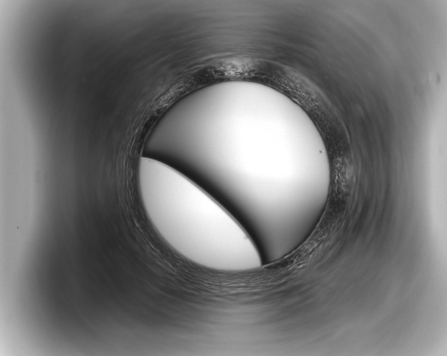 X0000098220650200804241134