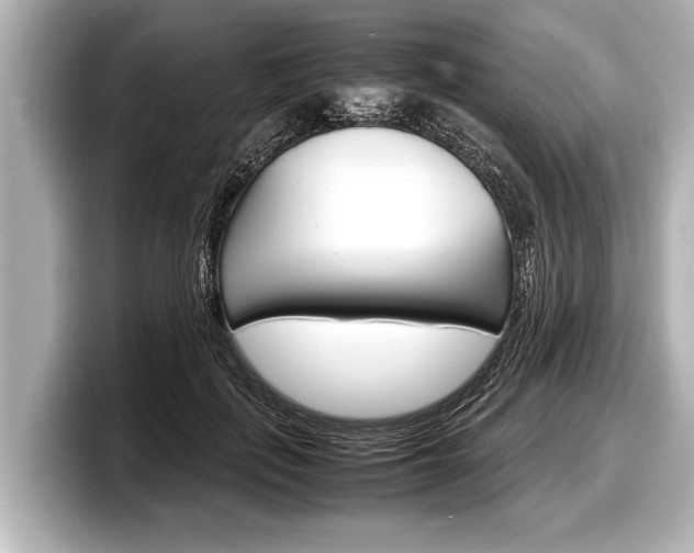 X0000098220651200804241134