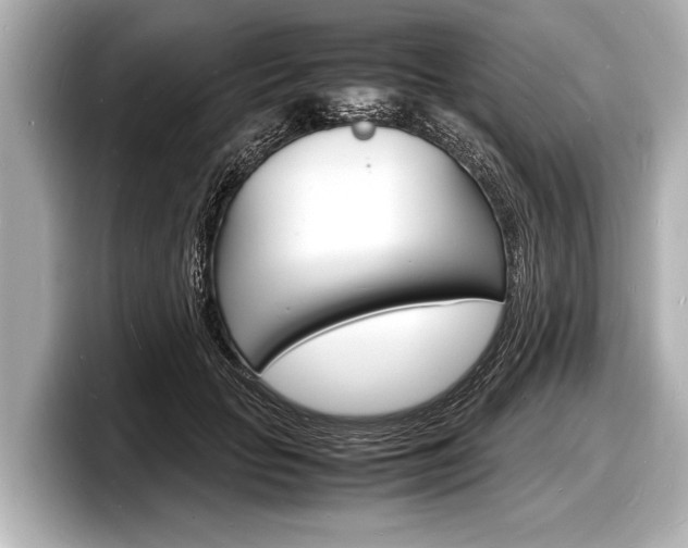 X0000098220653200804241134