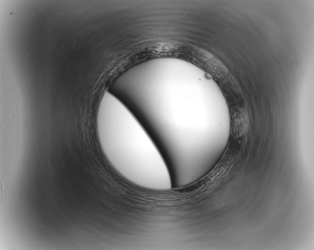 X0000098220654200804241134