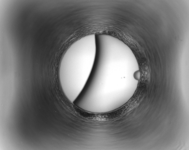 X0000098220656200804241134