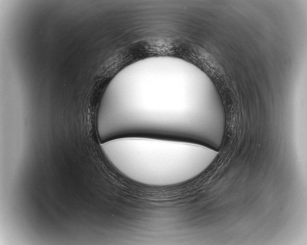 X0000098220658200804241134