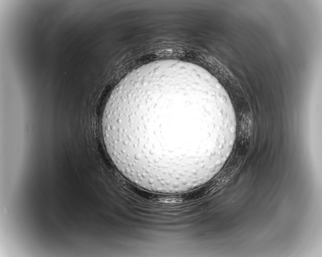 X0000098220659200804241134