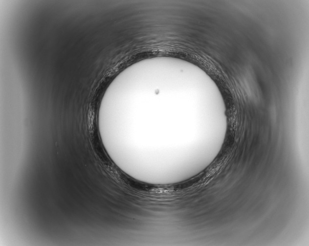 X0000098220660200804241134
