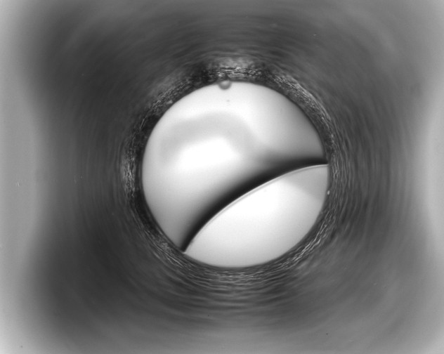 X0000098220661200804241134